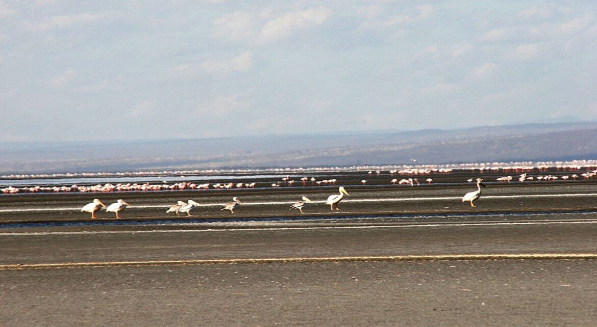 lac-natron-tanzanie